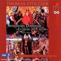 Thomas Stoltzer